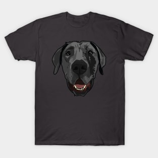 Jackson the Dane T-Shirt